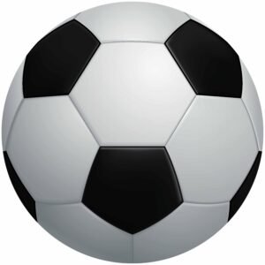 Football Professional Size 5 for Training & Match