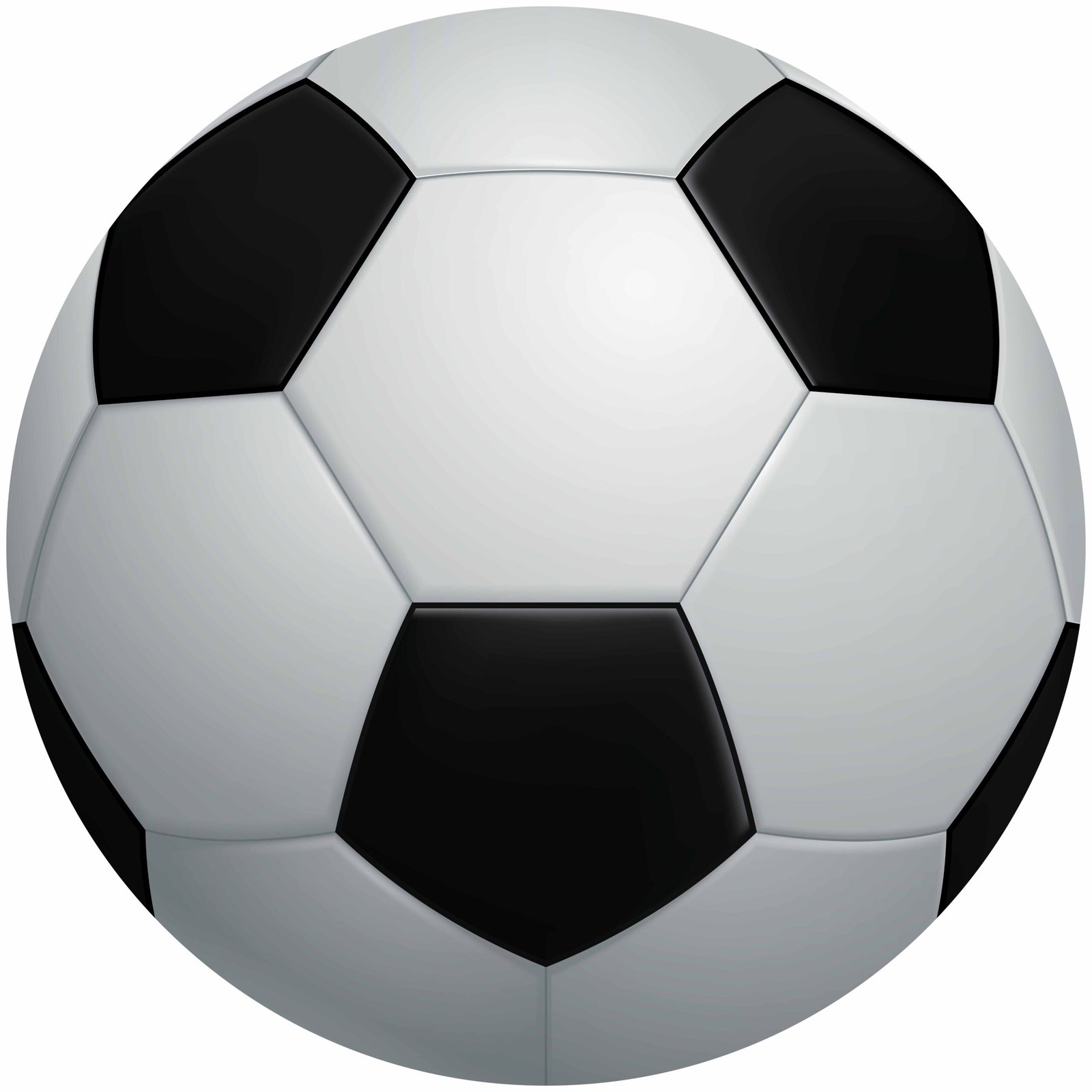 Football Professional Size 5 for Training & Match