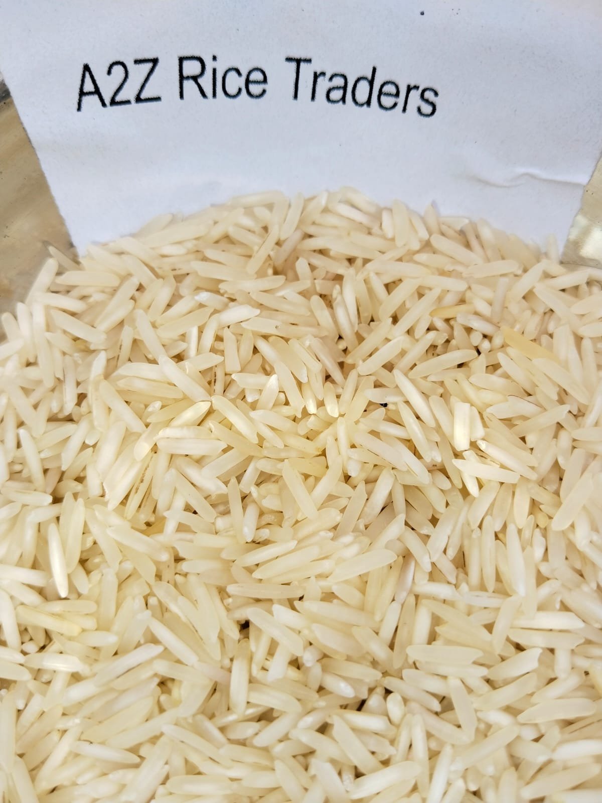کائنات سٹیم امبر